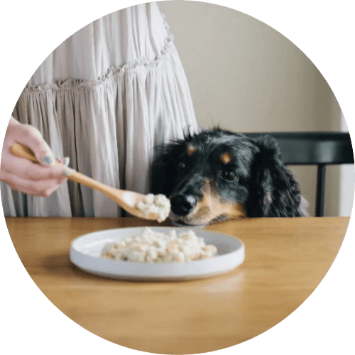 Highest Standard Image